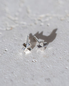 North by North Earrings